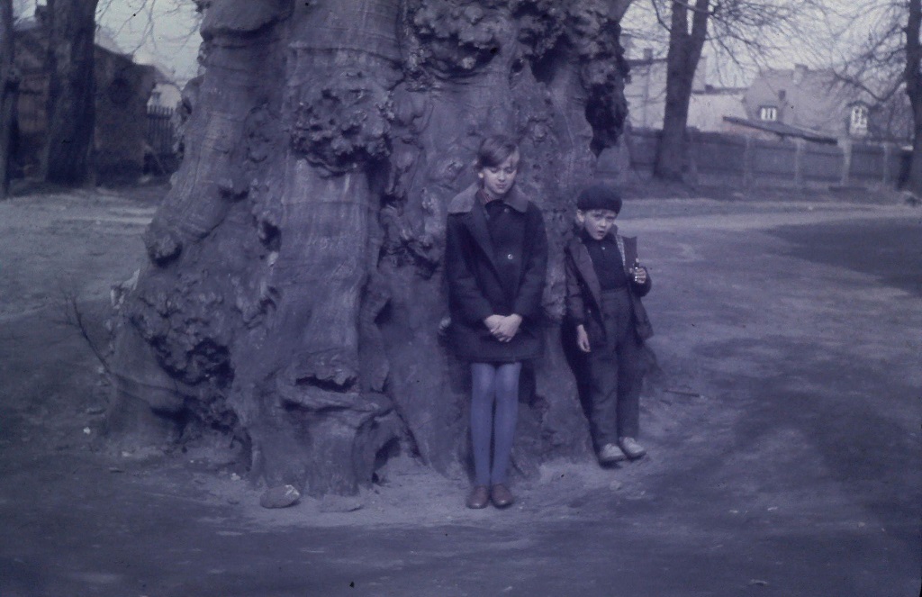 Przy wiązie Marysieńki, 1971